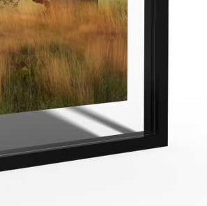 January Carnation Personalized Minimalist Art Print in Black Floating Glossy Acrylic (Framed!)