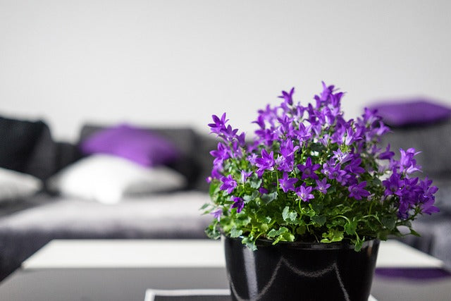 wall art print for modern home decor